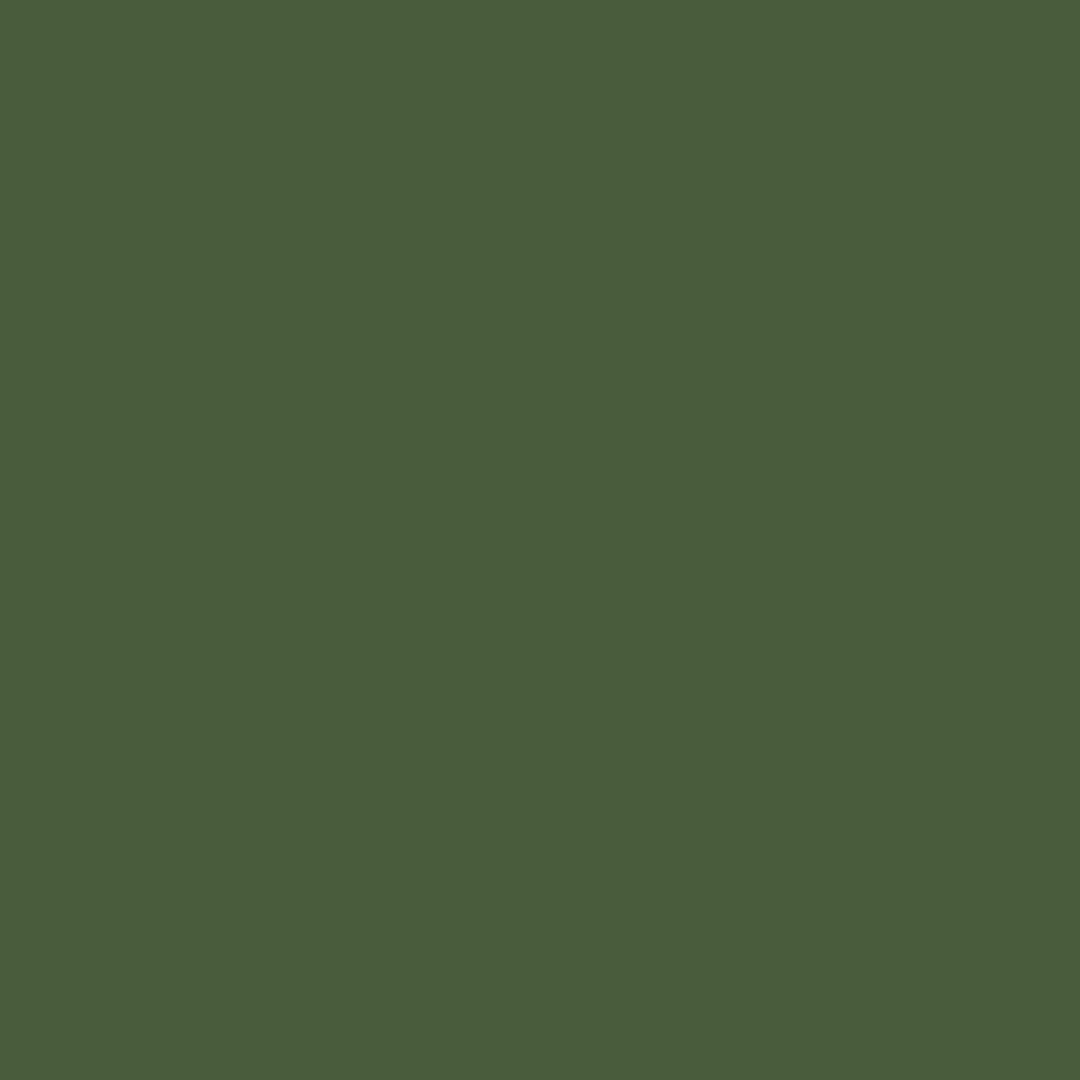 Russian Green Modern MIOMMP032 Plastics Paint Acrylic