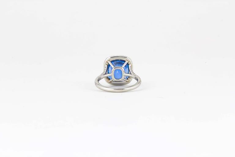 agl certified 6.58 ct sapphire cushion shape ceylon halo .52 ct round diamond