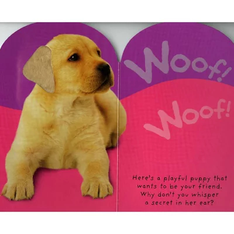 Baby Touch & Feel: Quack! Quack!, Board Book