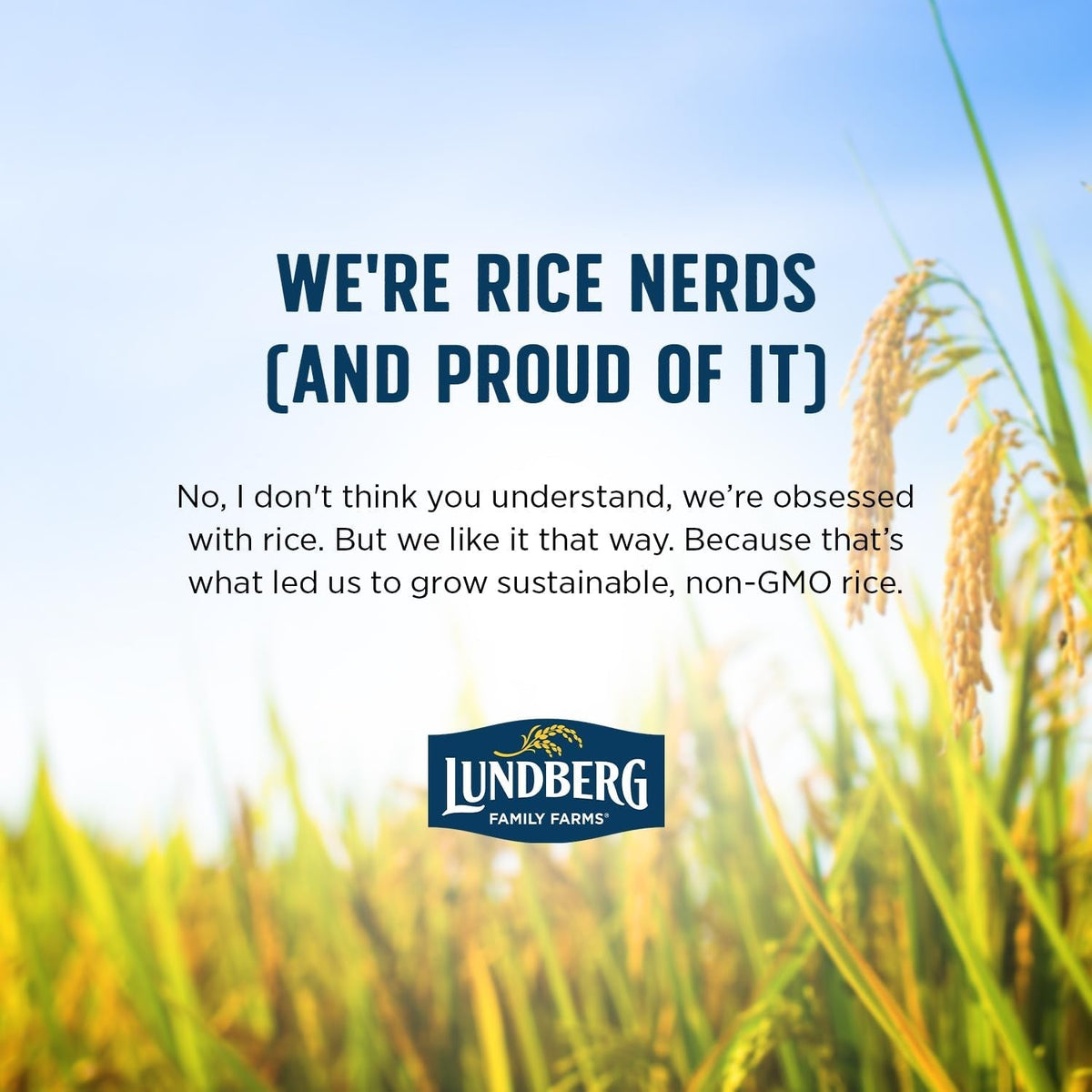 Jasmine Rice, Long Grain White Rice - Non-Sticky, Fluffyaromatic Rice, Sustainably Grown in California, Pantry Staples, Chip Clip Included, 32 Oz