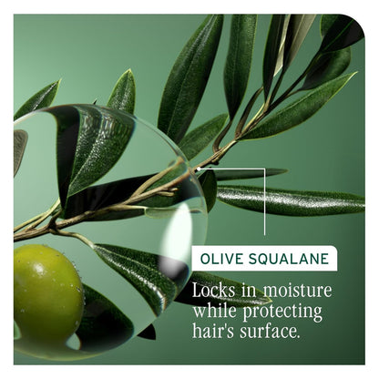 Biolage Strength Recovery Shampoo - Reduces Breakage & Detangles, for Damaged Hair, with Olive Squalane & Vegan Proteins, Paraben & Mineral Oil-Free, Packaging May Vary