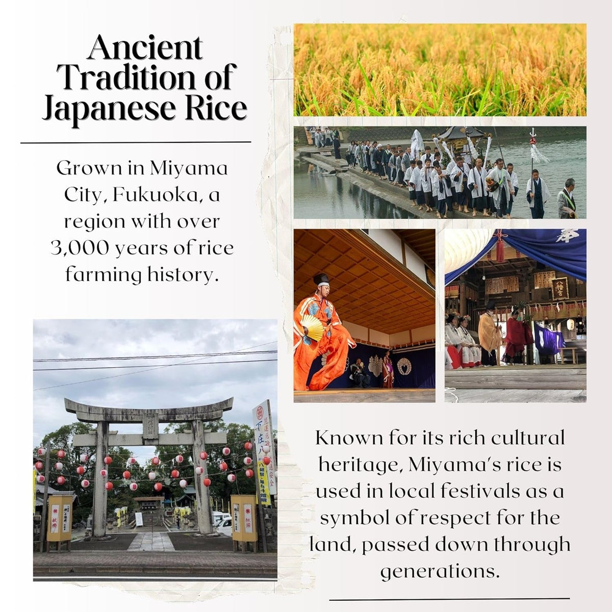 [WASHOKU MATSUO] Nikomaru: Rare Japanese Rice Born from Koshihikari – Premium Short Grain White Rice, Rich in Tradition, 4.4 Lb.
