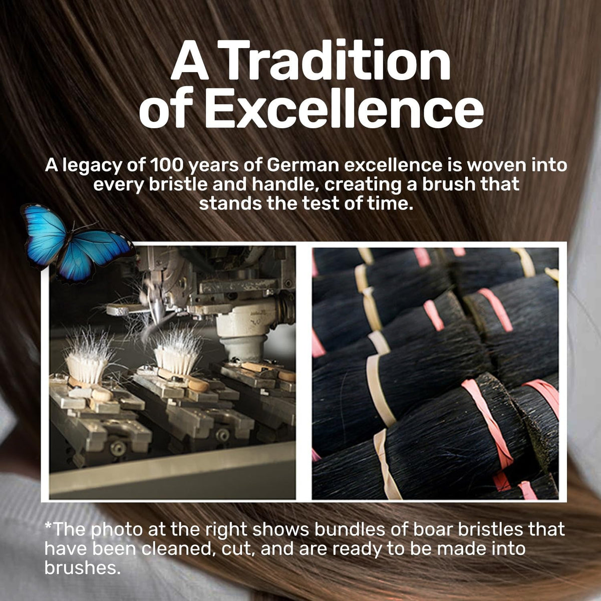 100% Natural Boar Bristle Hairbrush for Healthy Hair - Gentle Care, Made in Germany