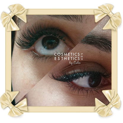 Set of 7 Trays: Eyelash Extensions Premade Russian Volume Individual Fans 6D, 0.05 Thickness, 8Mm (C Curl), 9Mm (C Curl), 10Mm (D Curl), 11Mm (D Curl), 12Mm (D Curl), 13Mm (D Curl) & 14Mm (D Curl)
