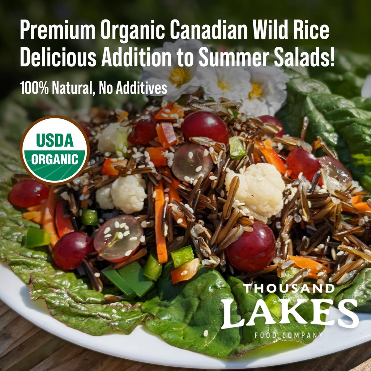 Organic Canadian Wild Rice - Premium - Bulk - 2.5 Pounds | 100% Wild Rice | Wild Harvested