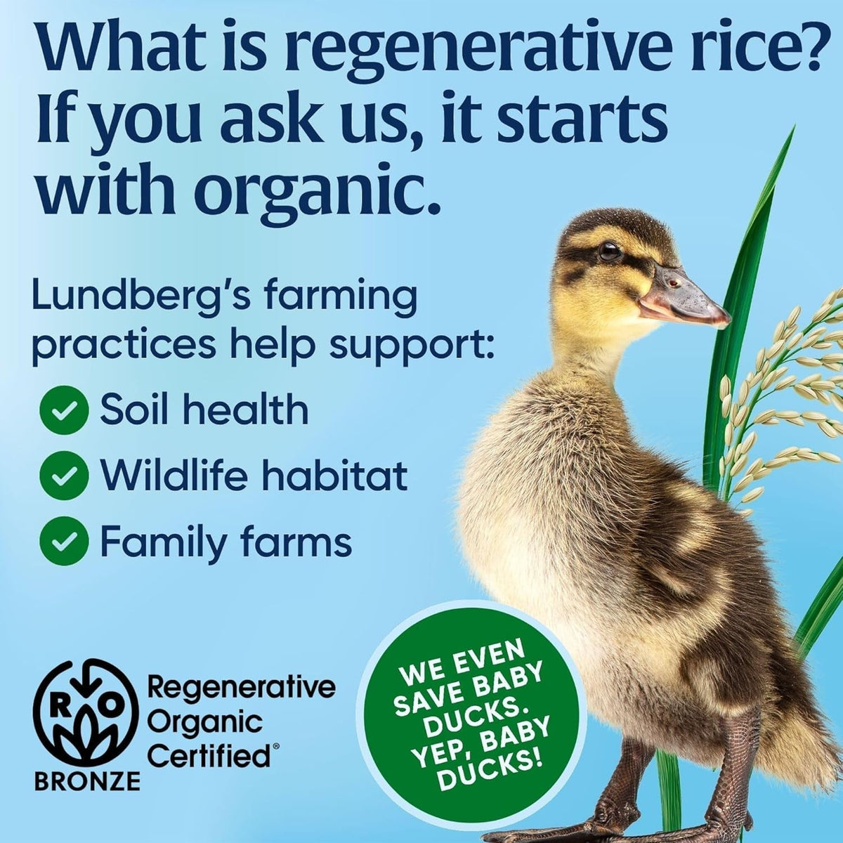 Jasmine Rice, Regenerative Organic Certified – Non-Sticky, Aromatic Long-Grain White Rice, Responsibly Grown in California, 32 Oz