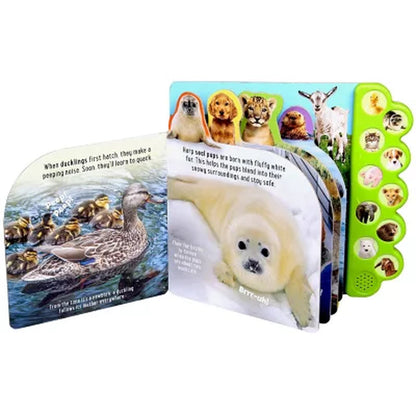 Discovery: Noisy Baby Animals!, Sound Book