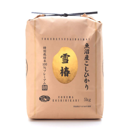 Japanese Extremely Rare , Ultra Premium, Uonuma,  Koshihikari White Rice, 魚沼産こしひかり特別栽培米「雪椿 11 Pound / 5Kg (1)