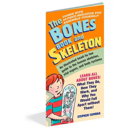 The Bones Book and Skeleton, Mixed Media