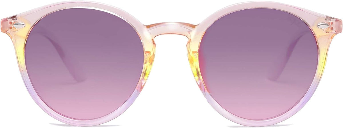 Retro Round Polarized Sunglasses for Women Men Classic Vintage Sunnies SJ2069