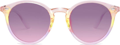 Retro Round Polarized Sunglasses for Women Men Classic Vintage Sunnies SJ2069