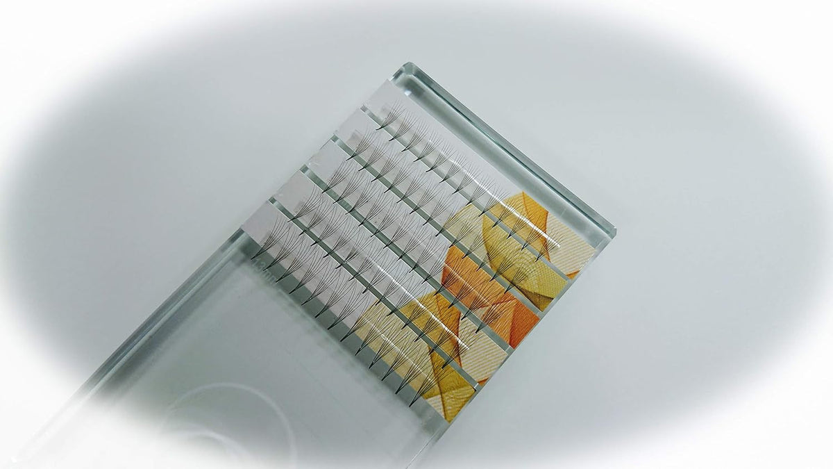 Set of 7 Trays: Eyelash Extensions Premade Russian Volume Individual Fans 6D, 0.05 Thickness, 8Mm (C Curl), 9Mm (C Curl), 10Mm (D Curl), 11Mm (D Curl), 12Mm (D Curl), 13Mm (D Curl) & 14Mm (D Curl)