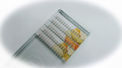 Set of 7 Trays: Eyelash Extensions Premade Russian Volume Individual Fans 6D, 0.05 Thickness, 8Mm (C Curl), 9Mm (C Curl), 10Mm (D Curl), 11Mm (D Curl), 12Mm (D Curl), 13Mm (D Curl) & 14Mm (D Curl)