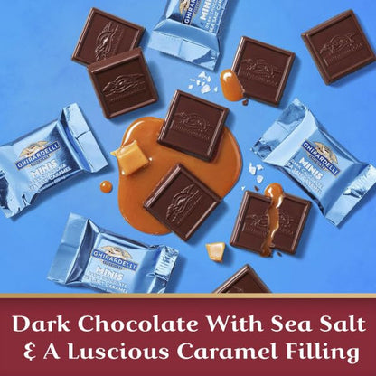 Premium Chocolate Assortment - Milk, Dark, Sea Salt, Caramel and 60% Cacao Squares, 23.8 Oz Bag