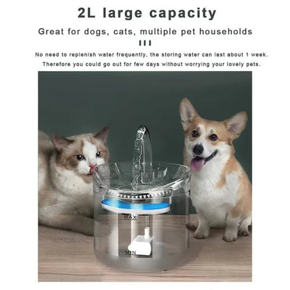 Cat Automatic Water Dispenser Circulating Filter Constant Temperature Pet Drinking Fountain Mute Cat and Dog Water Feeding Cat Daily Necessities