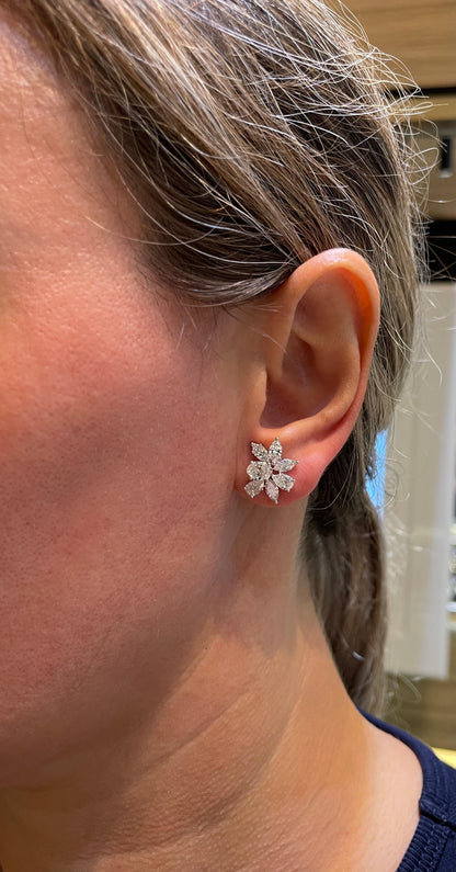 Diamond Scene 3.85ct Diamond Cluster 18k White Gold Stud Earrings
