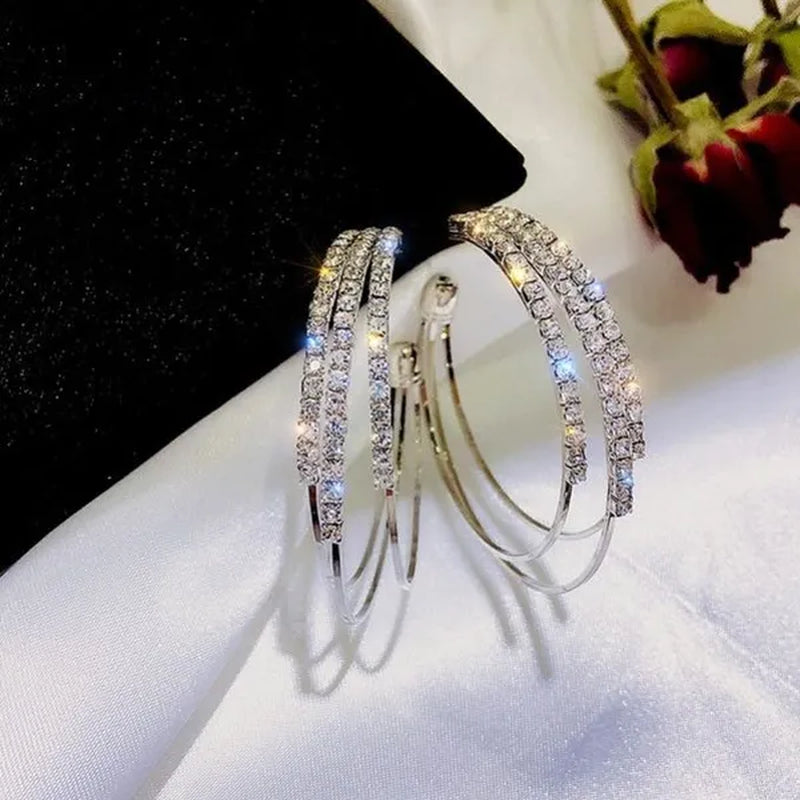 Plated Silver Needle and Diamond Circle Earrings Female Korean Temperament Personality Hoop Earrings Korean Trend Multi-layer Earrings
