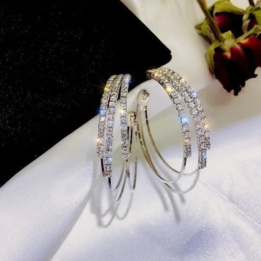 Plated Silver Needle and Diamond Circle Earrings Female Korean Temperament Personality Hoop Earrings Korean Trend Multi-layer Earrings