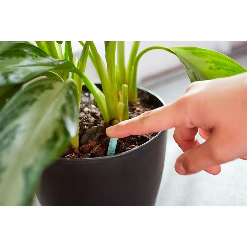 1.1 Oz. Indoor Plant Food Spikes