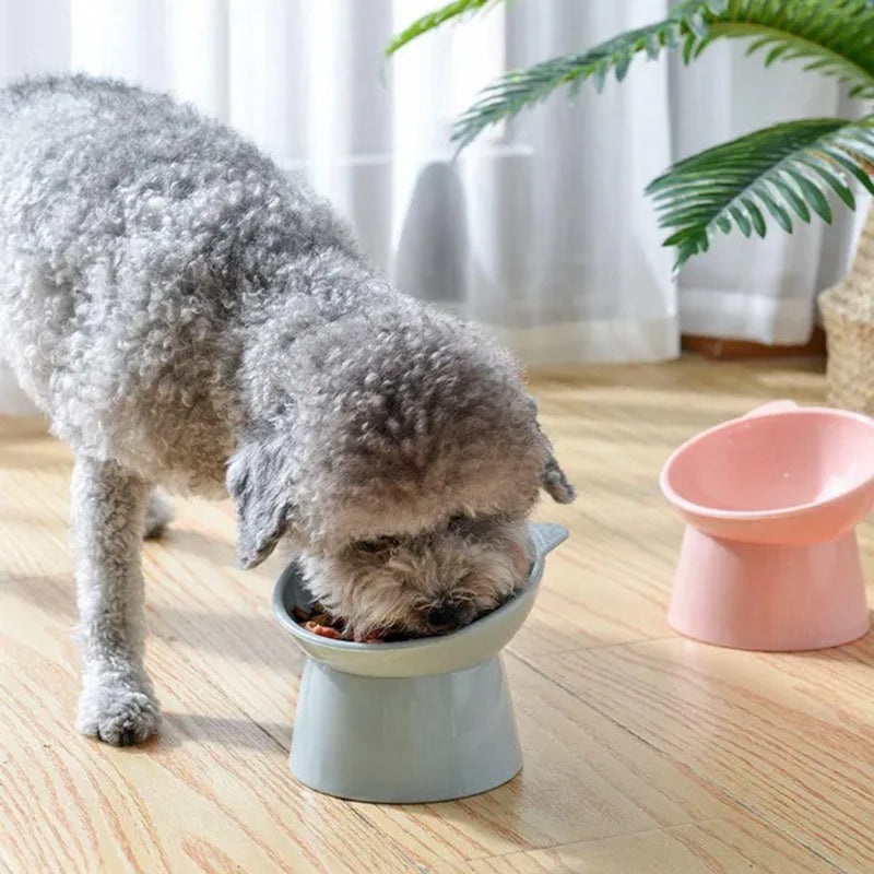 JJYY 1PC Pet Bowl High Base Feeding Cat Dog Bowl Protect Pet Spine Oblique Feeding Bowl Drinking Water Bowl Stonego Pet Supplies - Not include Food
