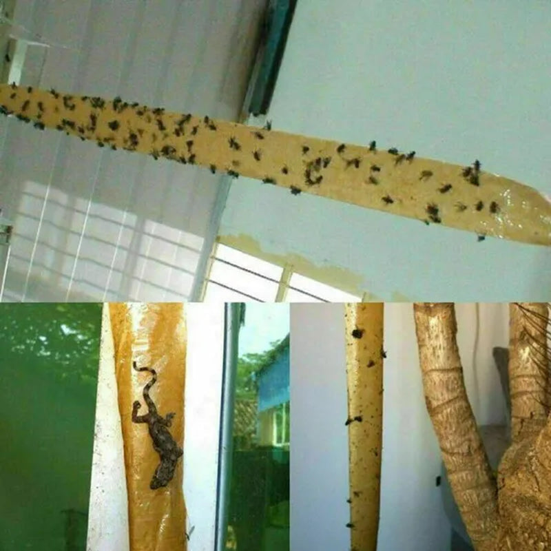 4/8/12/16/20 Rolls Sticky Fly Trap Glue Paper Insect Bug Catcher Strip Glue Paper Catcher Traps Fly Bug Household Flies Sticker