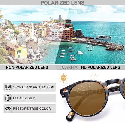 Vintage Polarized Sunglasses for Men UV400 Protection Retro Fashion Eyewear Hand-crafted Acetate Frame CA5288L