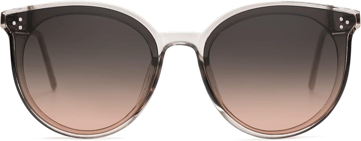 Classic Trendy round Sunglasses Womens Mens Oversized Large Shades UV400 Vacation Sunnies SJ2068