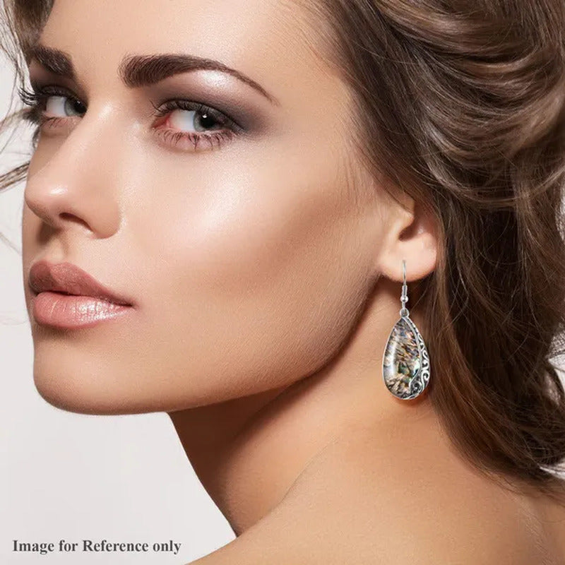 Unique Abalone Shell Stylish Dangle Drop Earrings for Women Stainless Steel Fash
