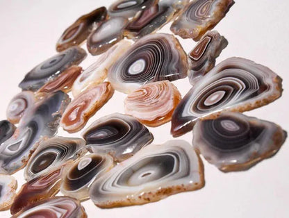 10 Piece Natural Botswana Agate Slice Gemstone Lot, Botswana Agate Cabochon Slic