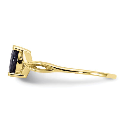 10 Karat Yellow Gold Genuine Sapphire Birthstone Ring
