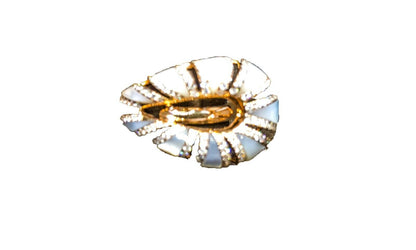 ROSE GOLD MOTHER OF PEARL DIAMOND ROUND BRILLIANT RING