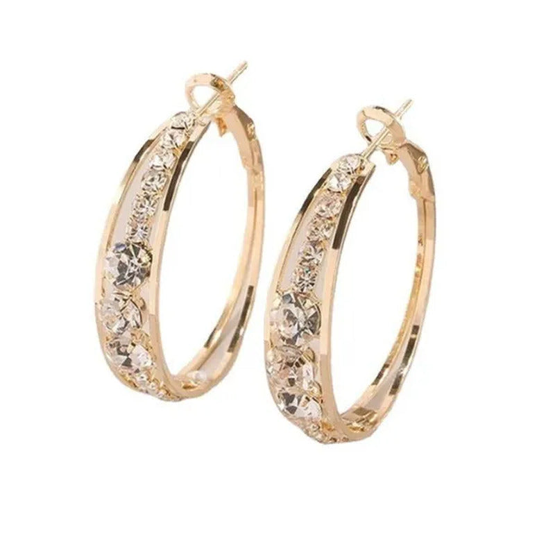 Luxury Fashion Creative Zircon Earrings Natural Zircon Earrings Golden Silvery B