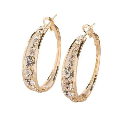 Luxury Fashion Creative Zircon Earrings Natural Zircon Earrings Golden Silvery B
