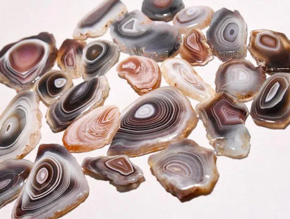 10 Piece Natural Botswana Agate Slice Gemstone Lot, Botswana Agate Cabochon Slic