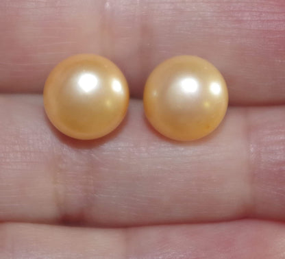 Quality Golden Champagne Pearl Semi round Dome Button 10 MM Stud Earrings 14K Go