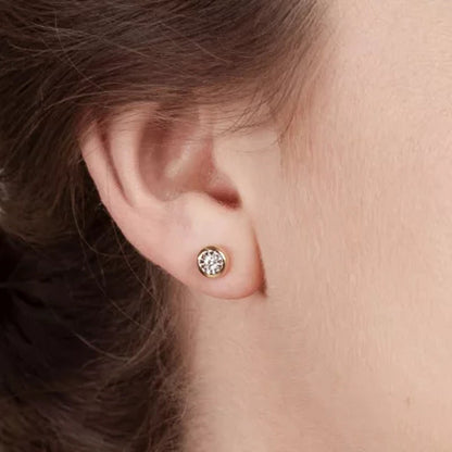 0.085 CT. T.W. Diamond Earrings in 14K Two-Tone Gold