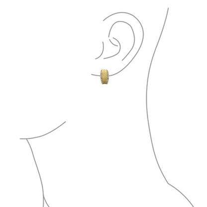 Matte Hammered Shrimp Half Hoop Earrings Pave Edge CZ Gold Plated