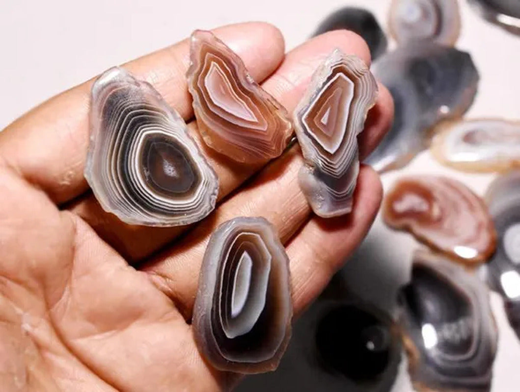 10 Piece Natural Botswana Agate Slice Gemstone Lot, Botswana Agate Cabochon Slic