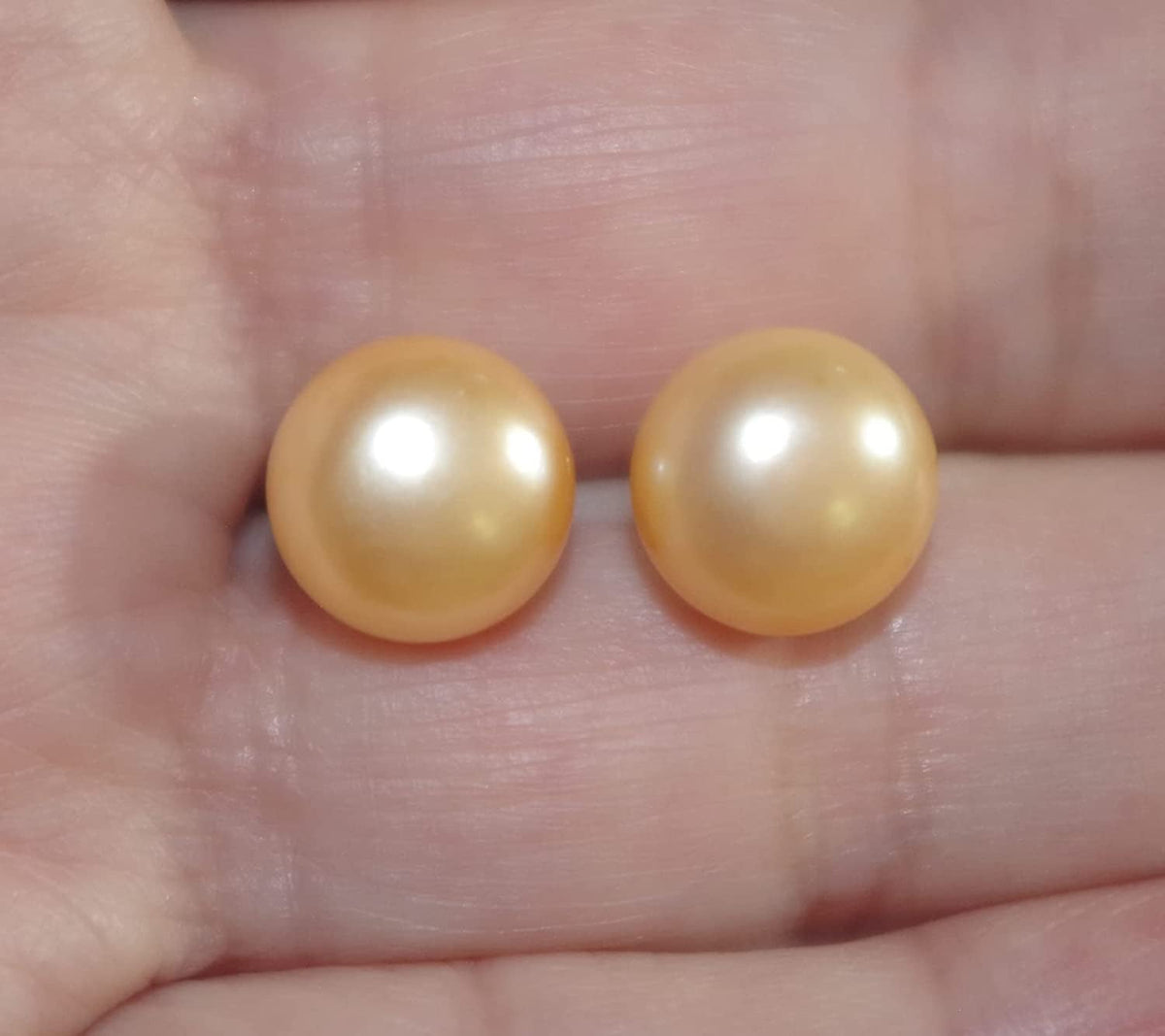 Quality Golden Champagne Pearl Semi round Dome Button 10 MM Stud Earrings 14K Go