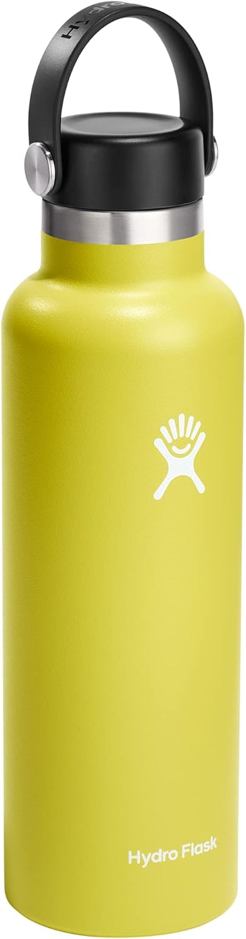 21 Oz Standard Mouth with Flex Cap Stainless Steel Reusable Water Bottle Cactus - Vacuum Insulated, Dishwasher Safe, Bpa-Free, Non-Toxic