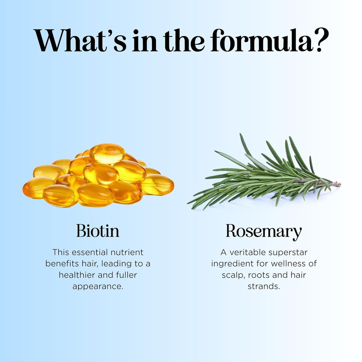 Rosemary and Biotin Shampoo for Thinning Hair - Vegan Volumizing Shampoo for Fine Hair with B Vitamins Argan Oil & Tea Tree Essential Oil - Paraben Silicone and Sulfate Free Vegan Formula (8 Fl Oz)