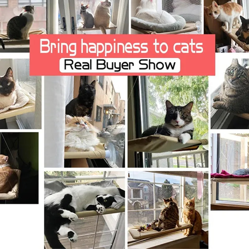 Cat Hammock Cute Hanging Beds Comfortable Sunny Seat Window Mount Pet product Soft Pet Shelf Supplies Detachable Bearing 20kg