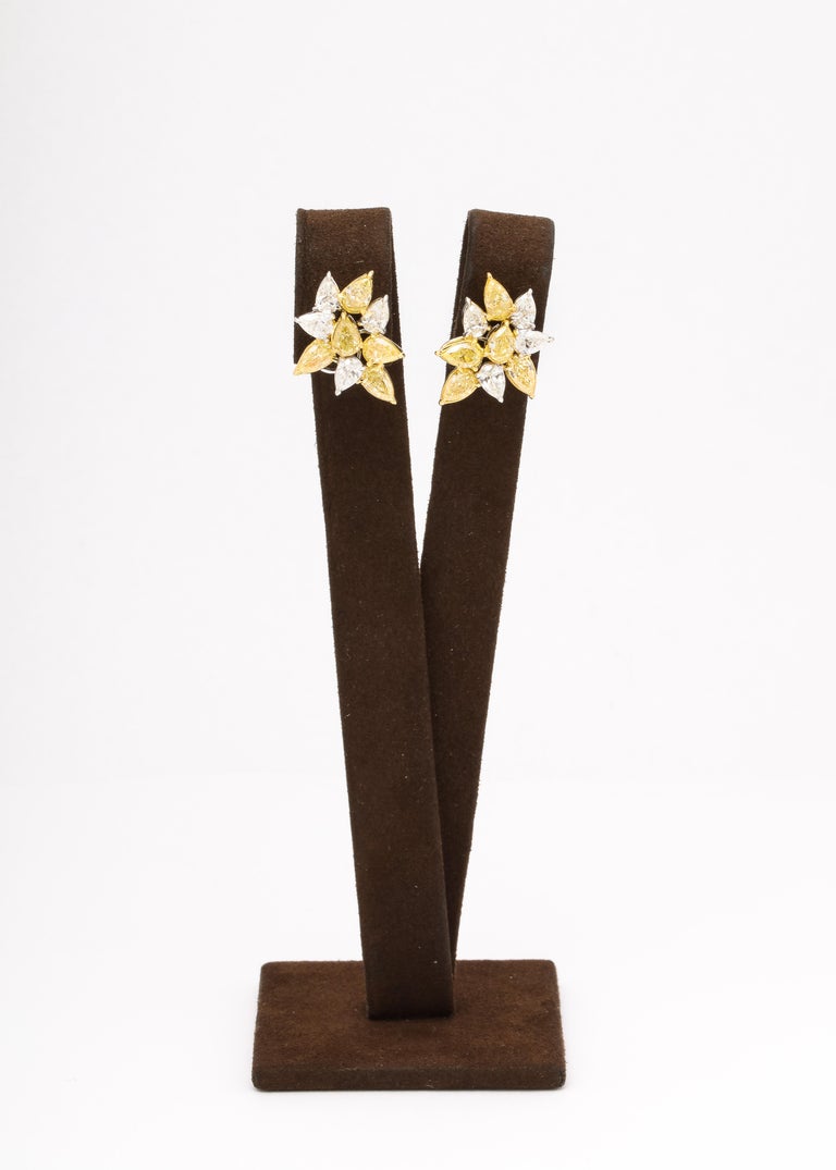https://a.1stdibscdn.com/yellow-and-white-diamond-cluster-earrings-for-sale-picture-3/j_415/j_164838621658497578718/6R1A9490_master.jpg