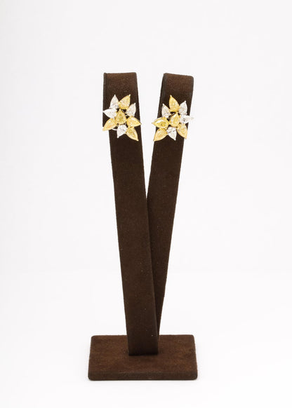 https://a.1stdibscdn.com/yellow-and-white-diamond-cluster-earrings-for-sale-picture-3/j_415/j_164838621658497578718/6R1A9490_master.jpg
