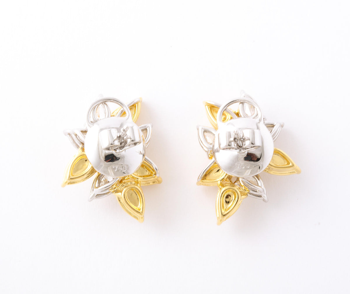 Fancy Yellow and White Diamond Pear Cluster 18k Gold Earrings