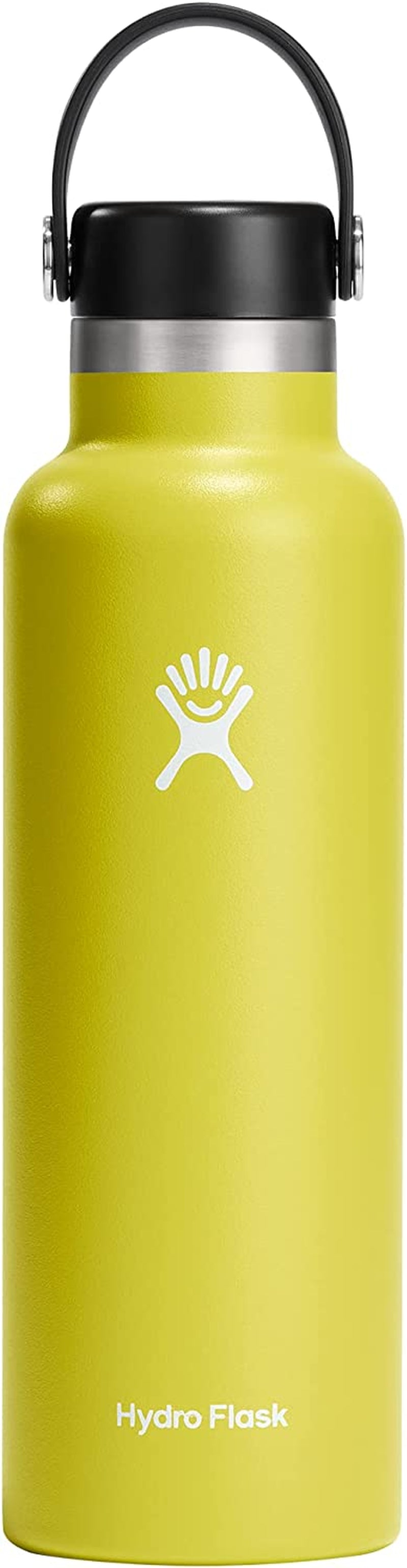 21 Oz Standard Mouth with Flex Cap Stainless Steel Reusable Water Bottle Cactus - Vacuum Insulated, Dishwasher Safe, Bpa-Free, Non-Toxic
