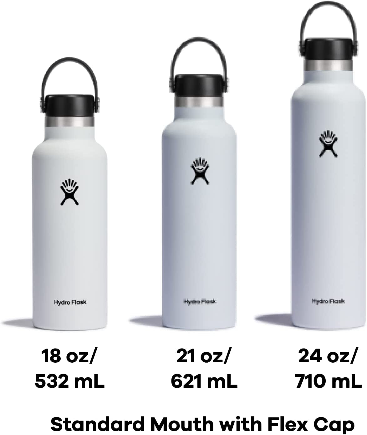 21 Oz Standard Mouth with Flex Cap Stainless Steel Reusable Water Bottle Cactus - Vacuum Insulated, Dishwasher Safe, Bpa-Free, Non-Toxic