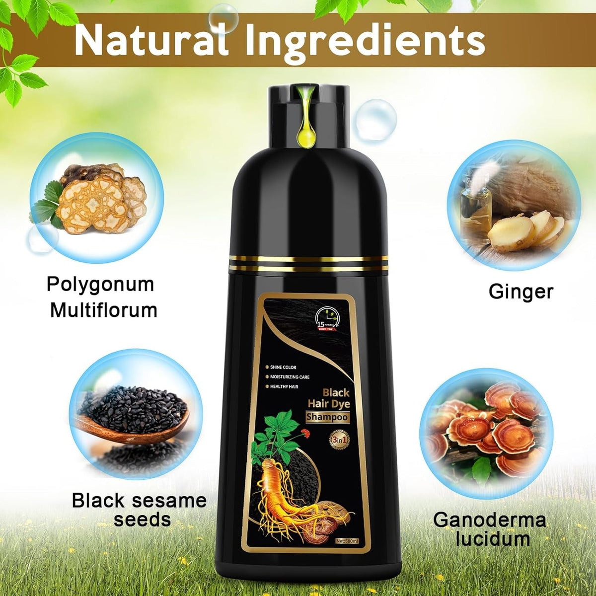 Hair Dye Shampoo for Gray Hair, 3 in 1 Herbal Dye for Women Men, Hair Color Shampoo 500Ml (Black)