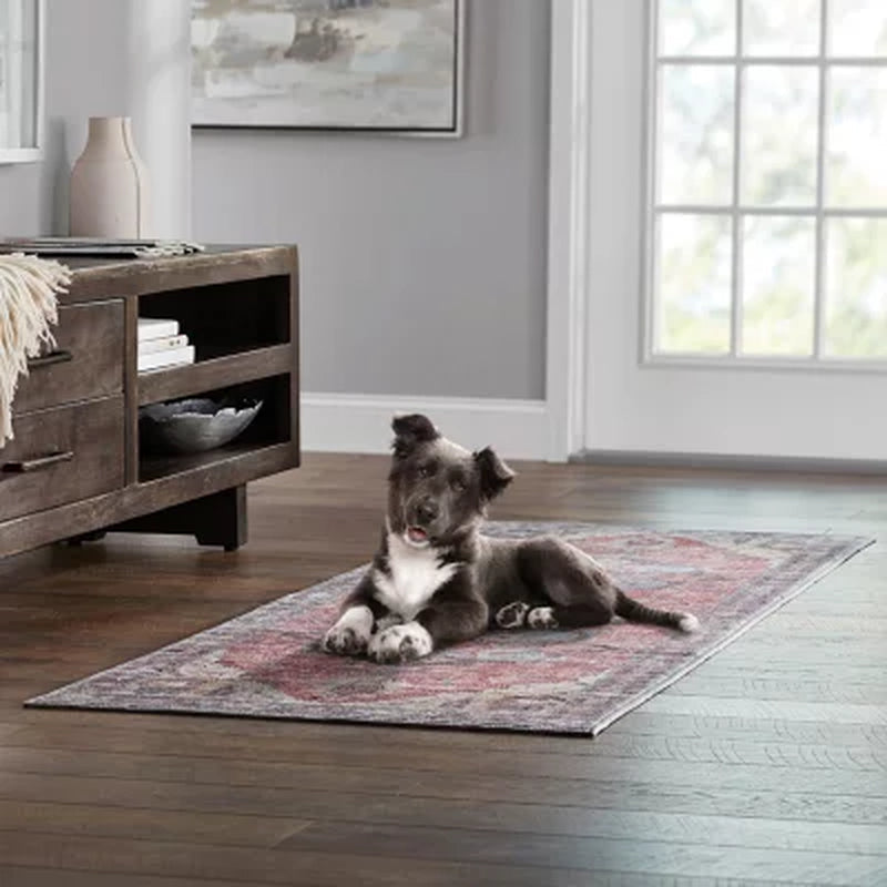 Member'S Mark Everwash Washable Accent Rug, 2'X 3'7", Assorted Colors