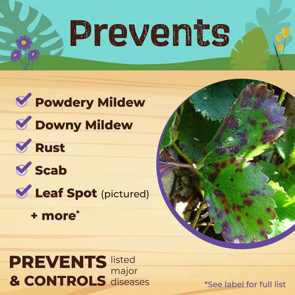Captain Jack'S Neem Oil, 32 Oz Ready-To-Use Spray, Multi-Purpose Fungicide, Insecticide and Miticide